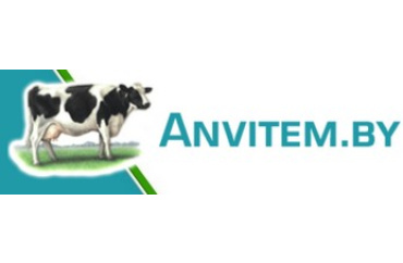 Представительство в Республике Беларусь