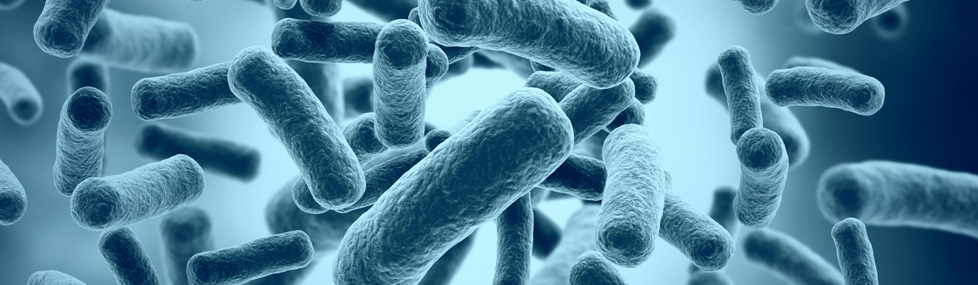 bacteria-1-min