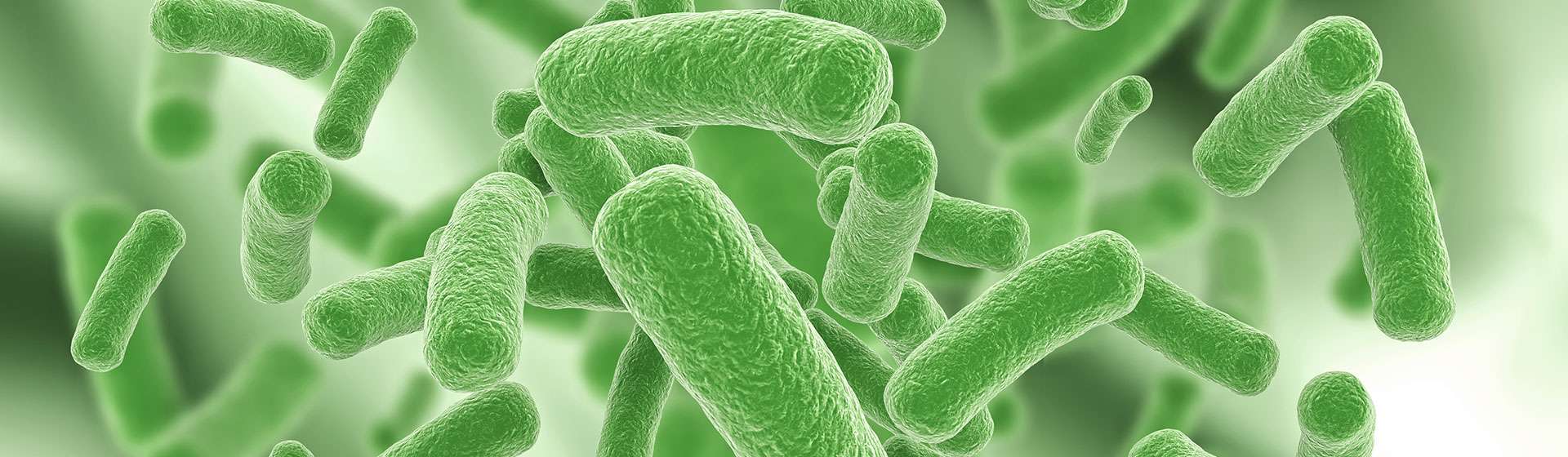bacteria-2-min